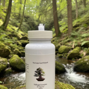 Kollagenkomplex 60 kapslar 500 mg