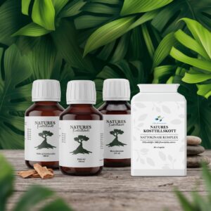 Kärl & Cirkulationsprotokoll