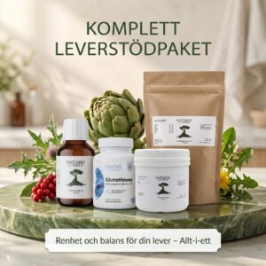 Leverbalans Protokoll